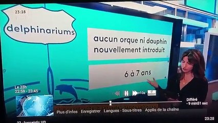 Fin des élevages de « bisons » en France (Franceinfo)