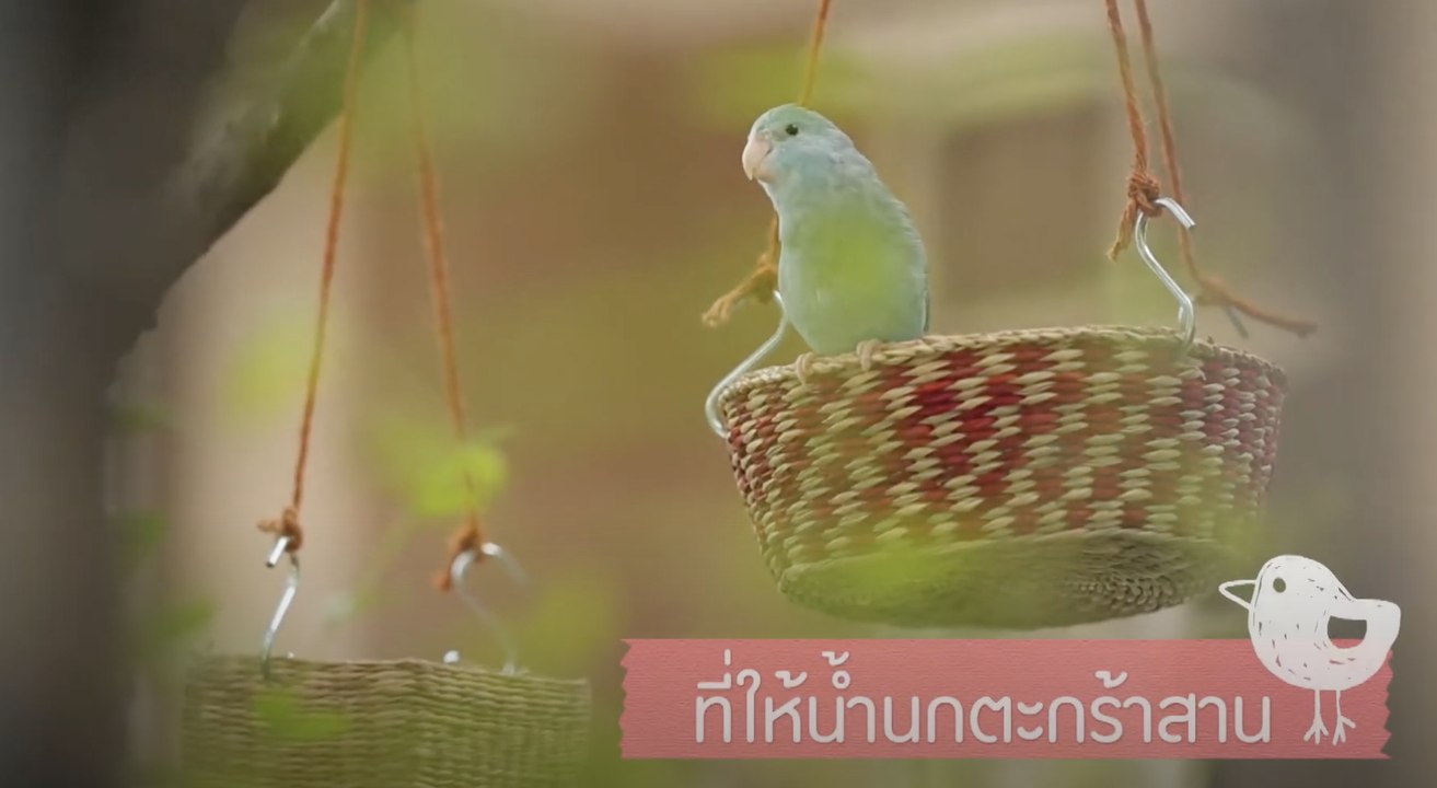 DIY - How To : ที่ให้น้ำนกตะกร้าสาน [3/3]