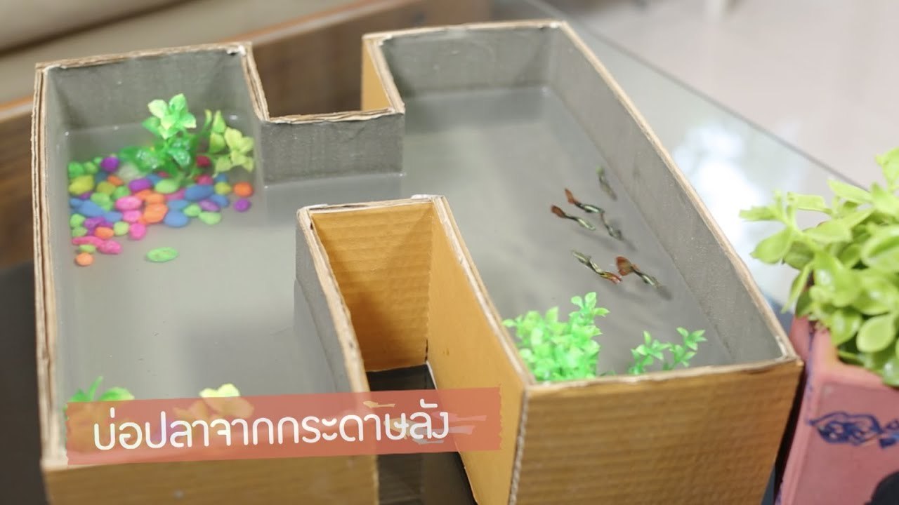 DIY - How To : บ่อปลาจากกระดาษลัง [2/3]
