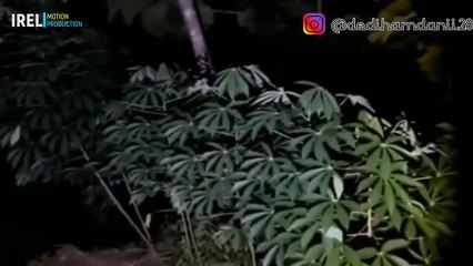 PENAMPAKAN POCONG DIKERJAIN