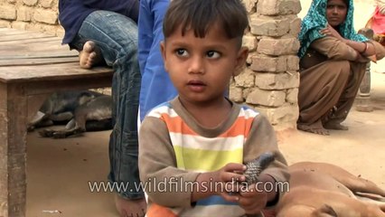 These Indian kids play with real life snakes on a daily basis!