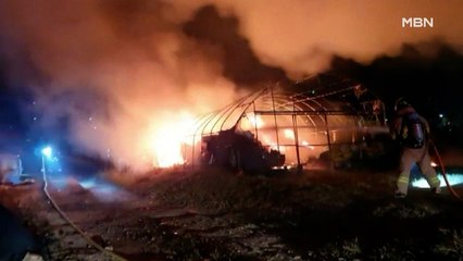 누나 부부 찾았다 흉기 난동…새벽에 음식하다 전신 화상