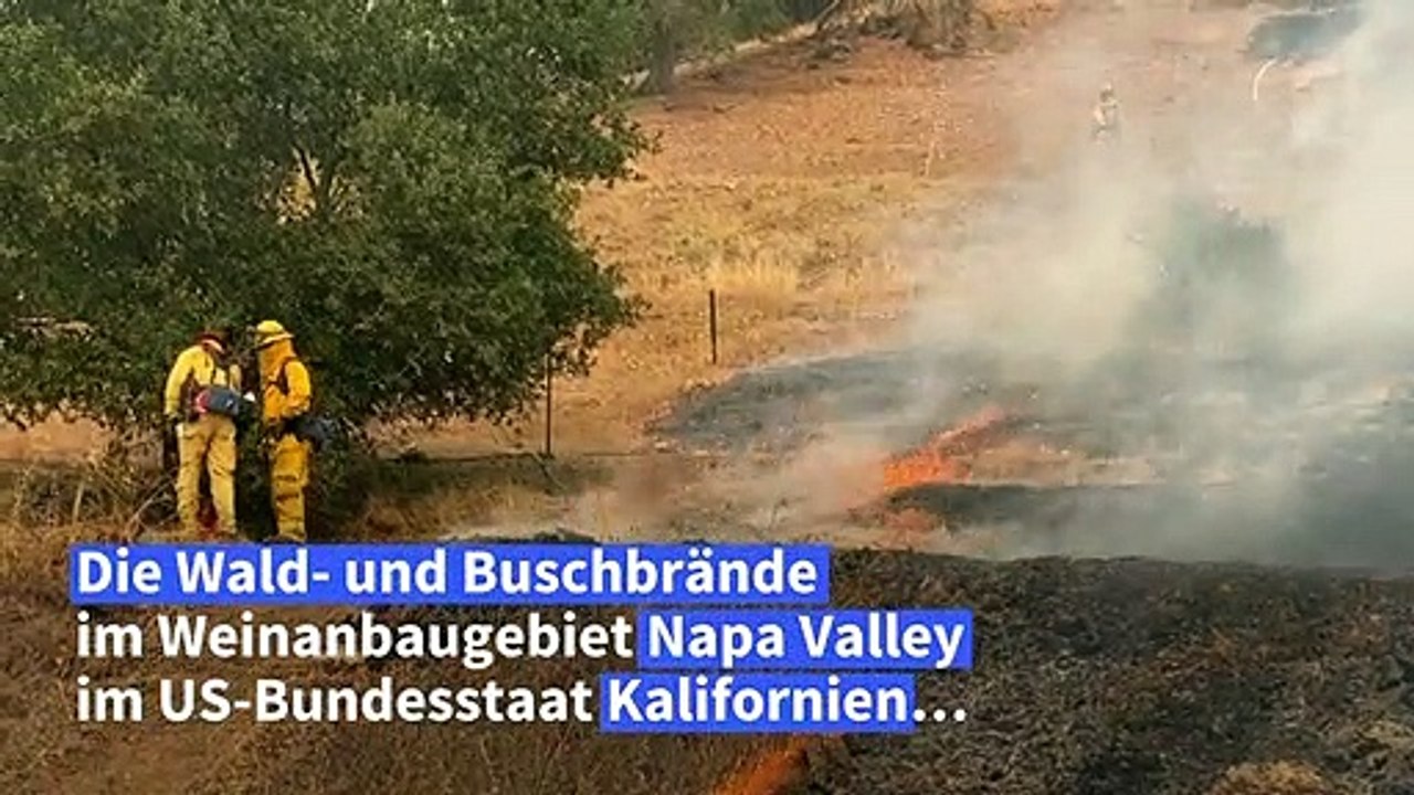 Wein-Region in Kalifornien liegt nach Waldbränden in Schutt und Asche