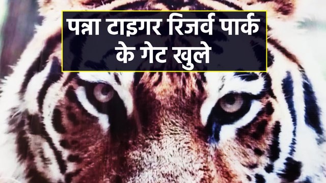 पन्ना टाइगर रिजर्व पार्क के गेट खुले