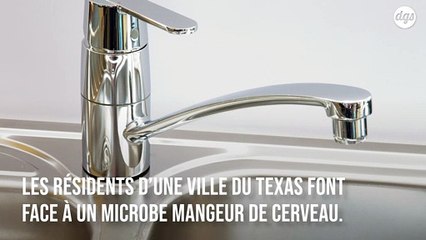 Un microbe mangeur de cerveau présent dans l’eau du robinet inquiète les autorités au Texas