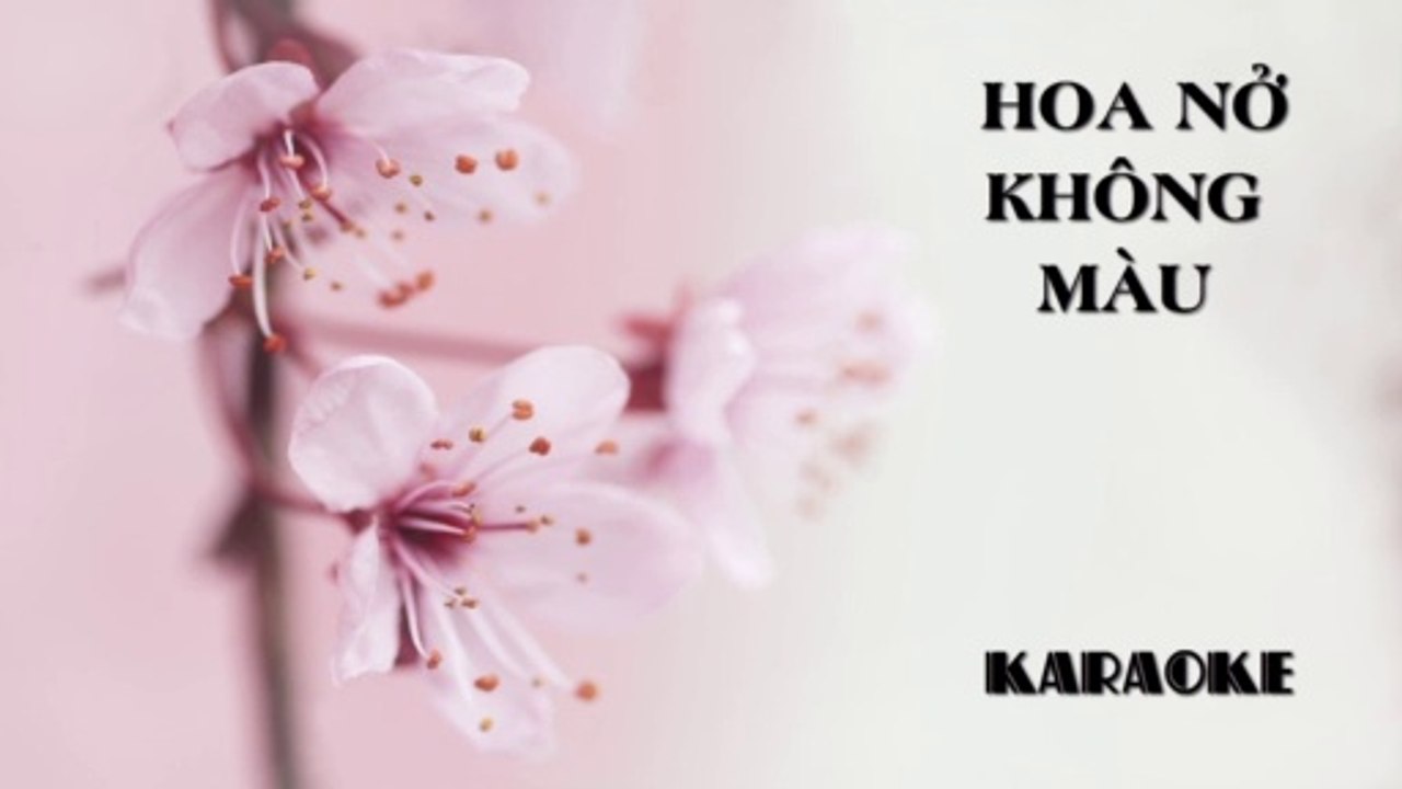 Hoa Nở Không Màu - Karaoke ( Ton Nam - Am ) | 3N Music