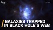 Galaxies Found Trapped in Cosmic ‘Spider’s Web’ of a Supermassive Black Hole