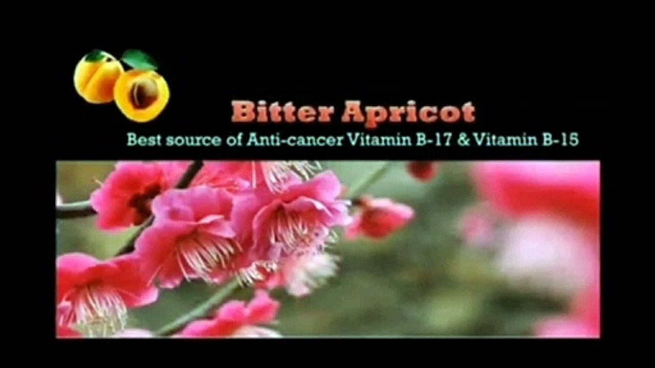 Cure cancer with vit b17 tablet, Vit B17 से करे कैंसर का इलाज