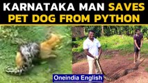 Karnataka man saves pet dog from a 20-foot-long python coiled around it|Oneindia News