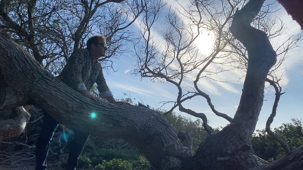 Cris Juanico - Un vol de miloca - Videoclip ofi...