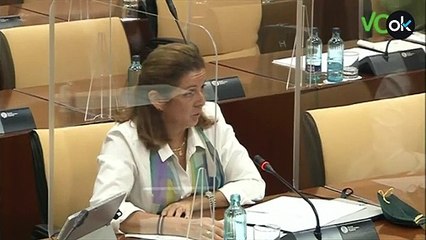 Vox Andalucía: "La demagogia de los socialistas directamente nos repugna"