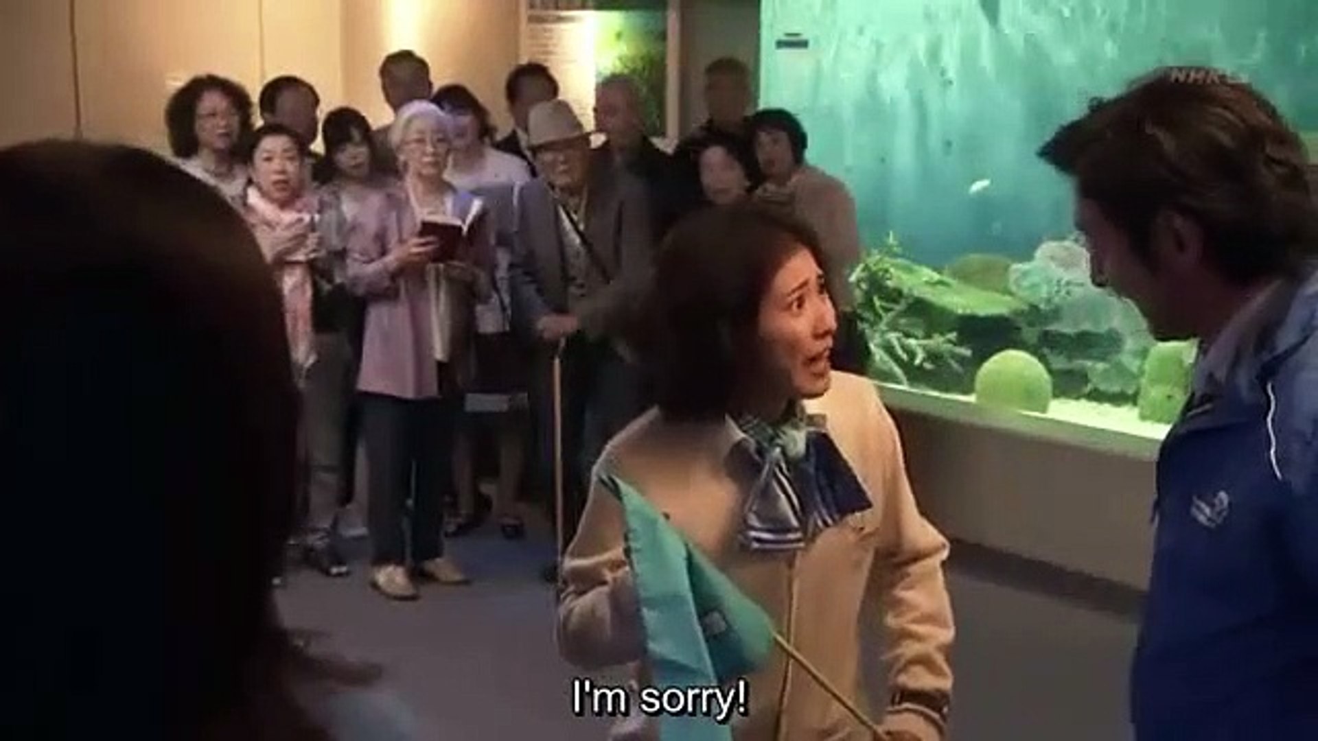 Suizokukan Girl 水族館ガール Aquarium Girl E6 1 English Subtitles Video Dailymotion