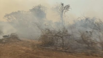 El fuego avanza en la Amazonía y Pantanal pese al negacionismo de Bolsonaro