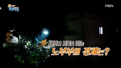 야심한 밤에 보이는 수상한 불빛! 보물 (?) 따는 노부부의 정체?!