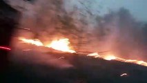 Vasti incendi nei boschi dell'Ucraina orientale