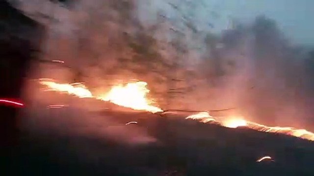 Vasti incendi nei boschi dell'Ucraina orientale