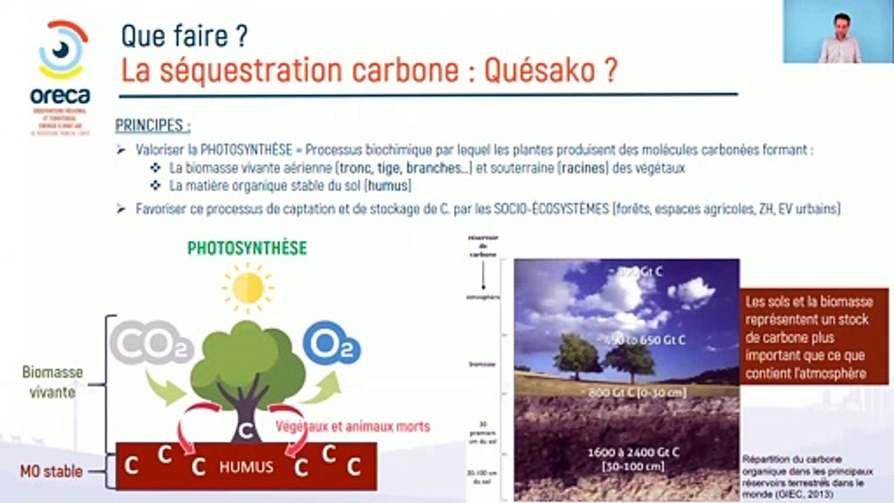 Le rôle des écosystèmes dans le cycle du carbone ; état des lieux en BFC par David Michelin, coordinateur à Alterre du pôle appui à la TSE - référent biodiversité
