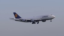 Lufthansa Boeing 747-8  _  GRU Airport - Guarulhos