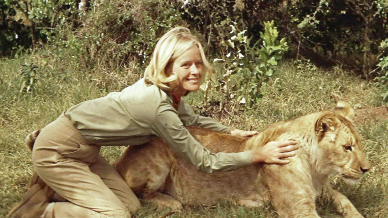 Born Free Movie (1966) - Virginia McKenna, Bill Travers, Geoffrey Keen