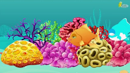 I am a Fisha Queen - Fishes Song for Children - Kids Songs - Education Park