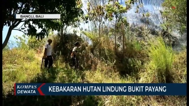 Kebakaran Hutan Lindung Bukit Payang
