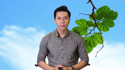 9 câu nói quá hay về cuộc sống Càng Nghe Càng Khôn Ra (Phần 1) - Góc Suy Ngẫm