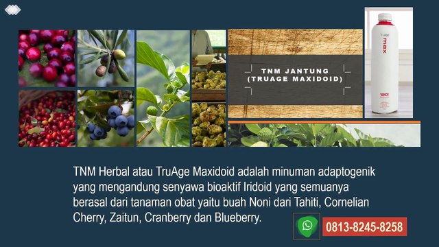 TNM Obat Jantung, TNM Obat Liver 0813 8245 8258 (WA)