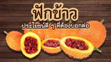 ฟักข้าว กับประโยชน์ดี ๆ ที่ต้องบอกต่อ