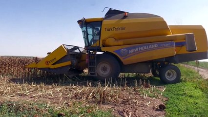Afyonkarahisar'da üretilen ayçiçeği tohumu yurt dışı pazarına da sunuluyor