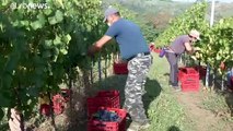 Fra i lavoratori rumeni che sostengono l'agricoltura italiana