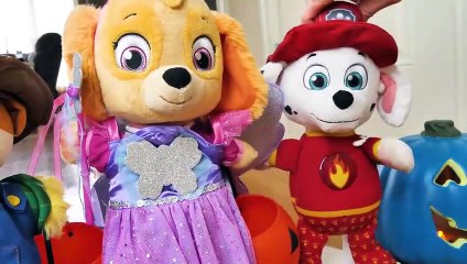 Paw Patrol Baby Pup Halloween fun for kids tv by iram