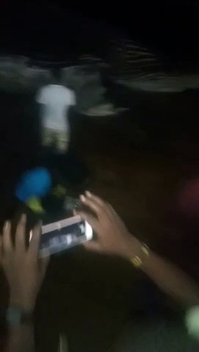 Une baleine échoue sur la plage à Lomé