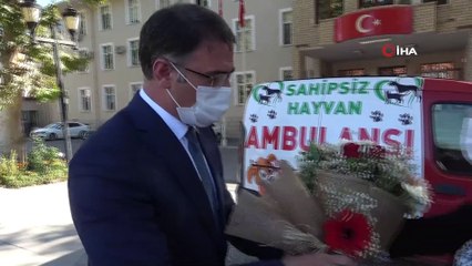 Sahipsiz yaralı hayvanlara ambulans hizmeti