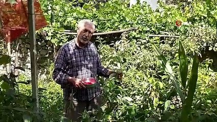 Tanoba kasabasından 1 Ekim Dünya Yaşlılar Günü farkındalığı