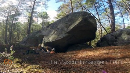 Bleau - La Maison du Sanglier (direct)