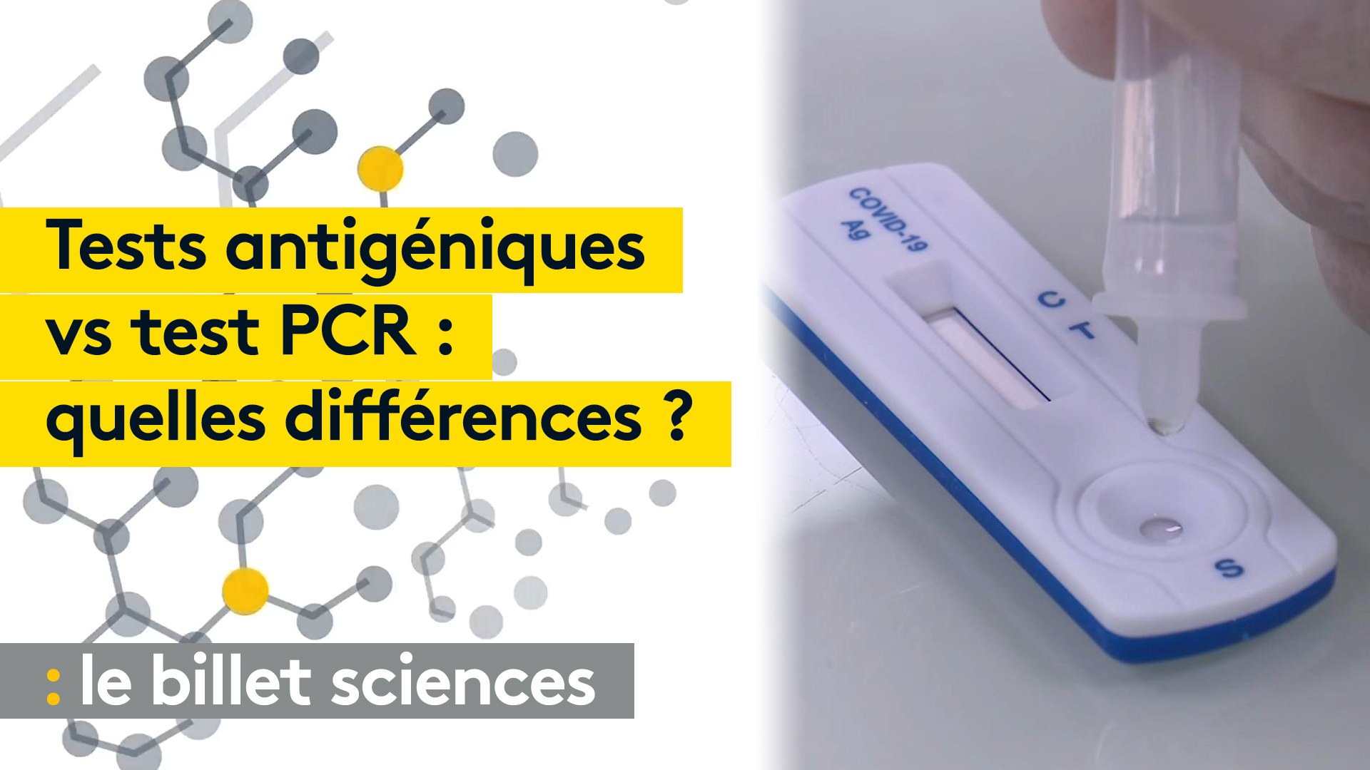 Coronavirus : test antigéniques vs test PCR, quelles différences ? - Vidéo  Dailymotion