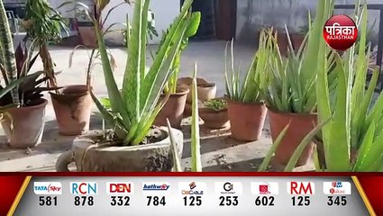 पैसों की बचत के साथ स्वास्थ्य को भी फायदा
