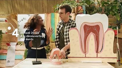 C'est toujours pas sorcier : À la découverte des dents - Bande annonce