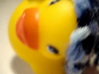 Le jour où un canard présenta les infos