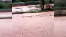 Rize'de şiddetli yağış etkili oluyor, bazı köy yolları ulaşıma kapandı