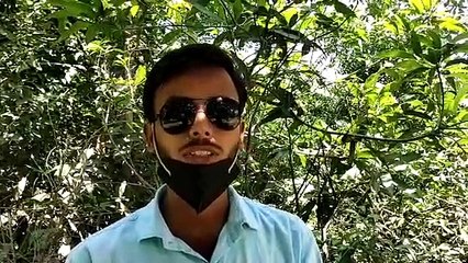 समाजसेवी ने मनाई अपने बाबा की जयंती, लगाए 21 पेड़