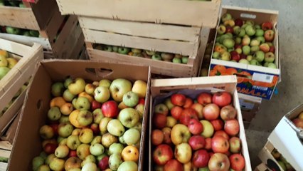 L'opération Croque ton jus pose ses valises au lycée agricole de Mirande dans le Gers
