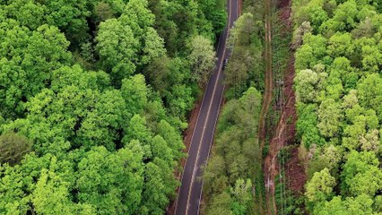 Life is lively with nature music | Nature music 2020| ARS Music | Meet the Nature