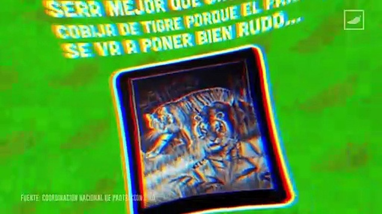 Saca la cobija de tigre; prevén 54 frentes fríos 