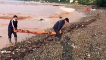 Selin sürüklediği odunları denizden kayık ile topladılar