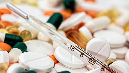 Discover Why Snakes Are Crucial for a Healthy Ecosystem 🐍