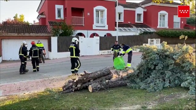 Bomberos gestionan 230 incidencias por la lluvia y el viento en Madrid