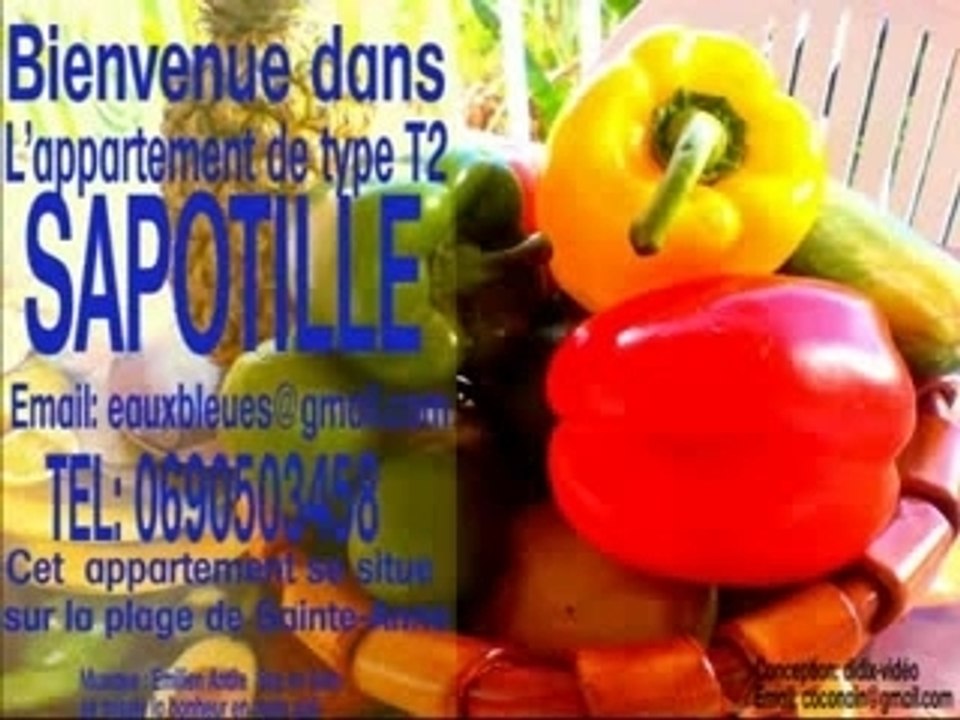 L'appartement de type T2 Sapotille
