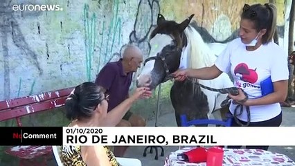 Бразилия: общение с животными спасает от одиночества