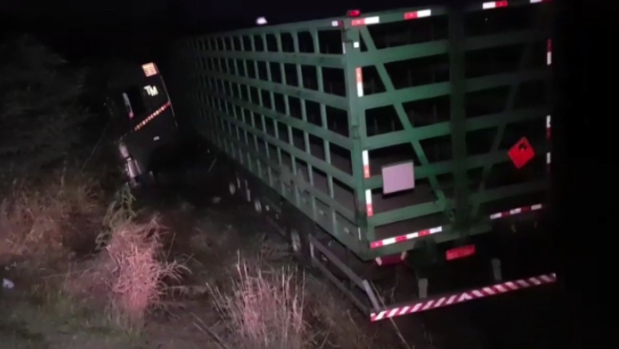 Caminhão sai da pista e para às margens da BR-369